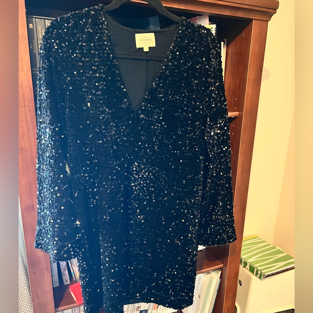 Sezane Black Sequin Dress